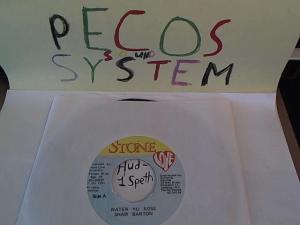 Hud-2 vinyl photos 628