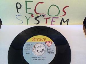 Hud-2 vinyl photos 635