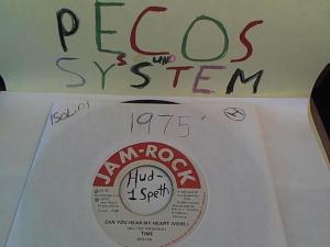 Hud-2 vinyl photos 660