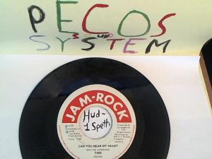 Hud-2 vinyl photos 662