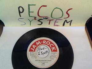 Hud-2 vinyl photos 663