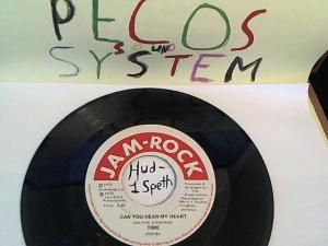 Hud-2 vinyl photos 666