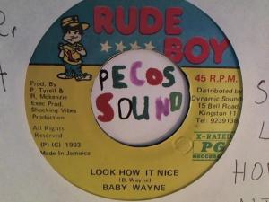 Hud-2 vinyl photos 6687