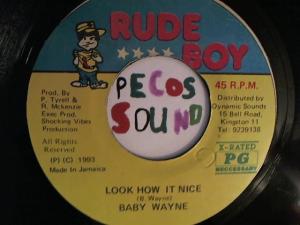 Hud-2 vinyl photos 6689