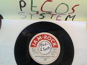 Hud-2 vinyl photos 669