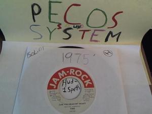 Hud-2 vinyl photos 675