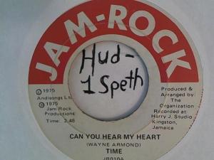 Hud-2 vinyl photos 676