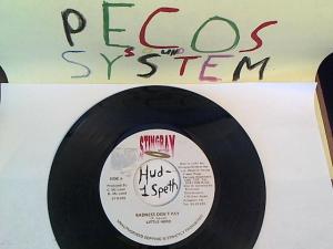 Hud-2 vinyl photos 691