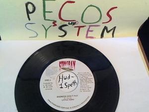 Hud-2 vinyl photos 692