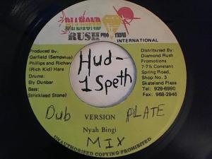 Hud-2 vinyl photos 746