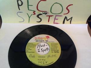 Hud-2 vinyl photos 747