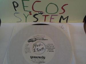 Hud-2 vinyl photos 753