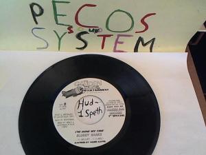 Hud-2 vinyl photos 758