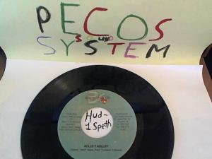 Hud-2 vinyl photos 770