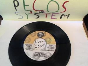 Hud-2 vinyl photos 785