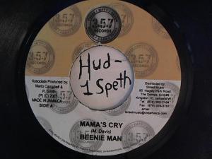 Hud-2 vinyl photos 789