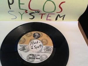 Hud-2 vinyl photos 791