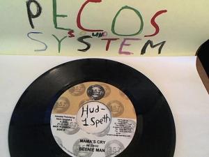 Hud-2 vinyl photos 793