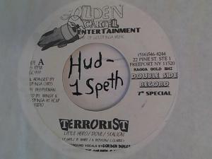 Hud-2 vinyl photos 889