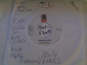 Hud-2 vinyl photos 913