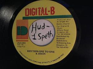 Hud-2 vinyl photos 931