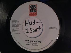 Hud-2 vinyl photos 936