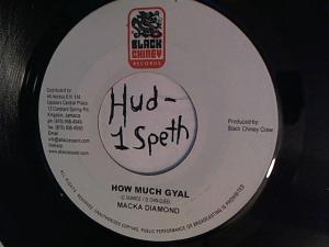 Hud-2 vinyl photos 937