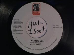 Hud-2 vinyl photos 938