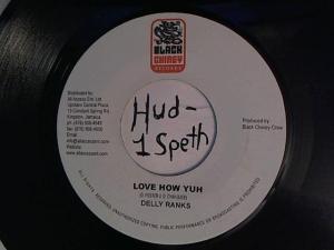 Hud-2 vinyl photos 939