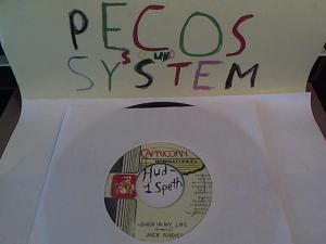 Hud-2 vinyl photos 954