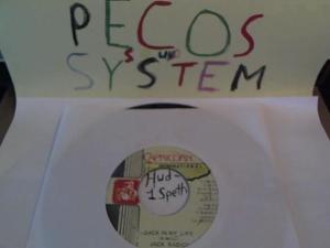 Hud-2 vinyl photos 956