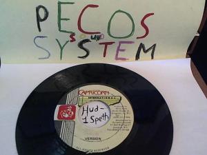 Hud-2 vinyl photos 961