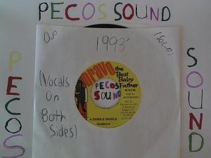 Hud-2 vinyl photos 971