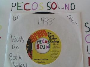 Hud-2 vinyl photos 974