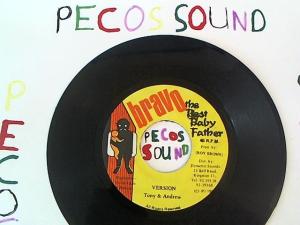 Hud-2 vinyl photos 980