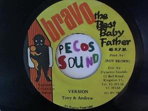 Hud-2 vinyl photos 982