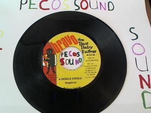 Hud-2 vinyl photos 983