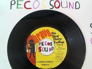 Hud-2 vinyl photos 986