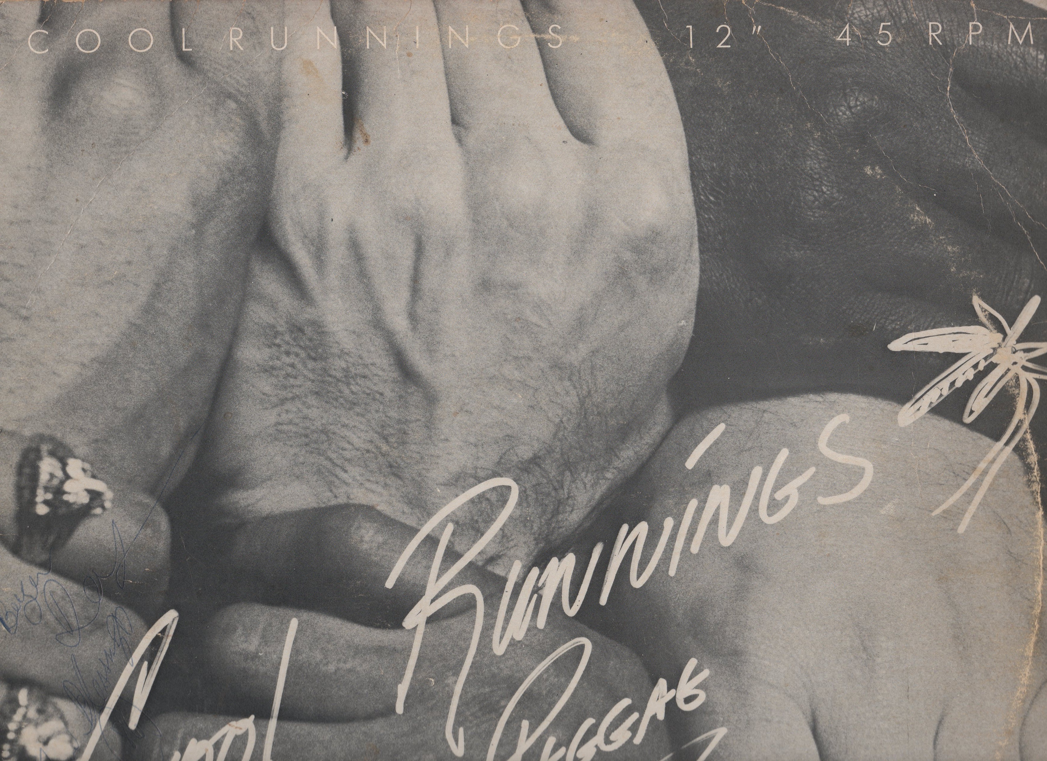 img20170202_06170604