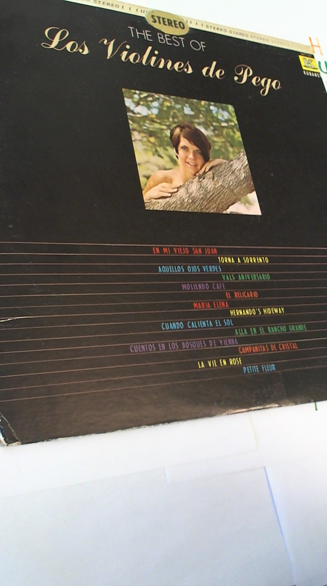 WIN_20240811_13_32_13_Pro