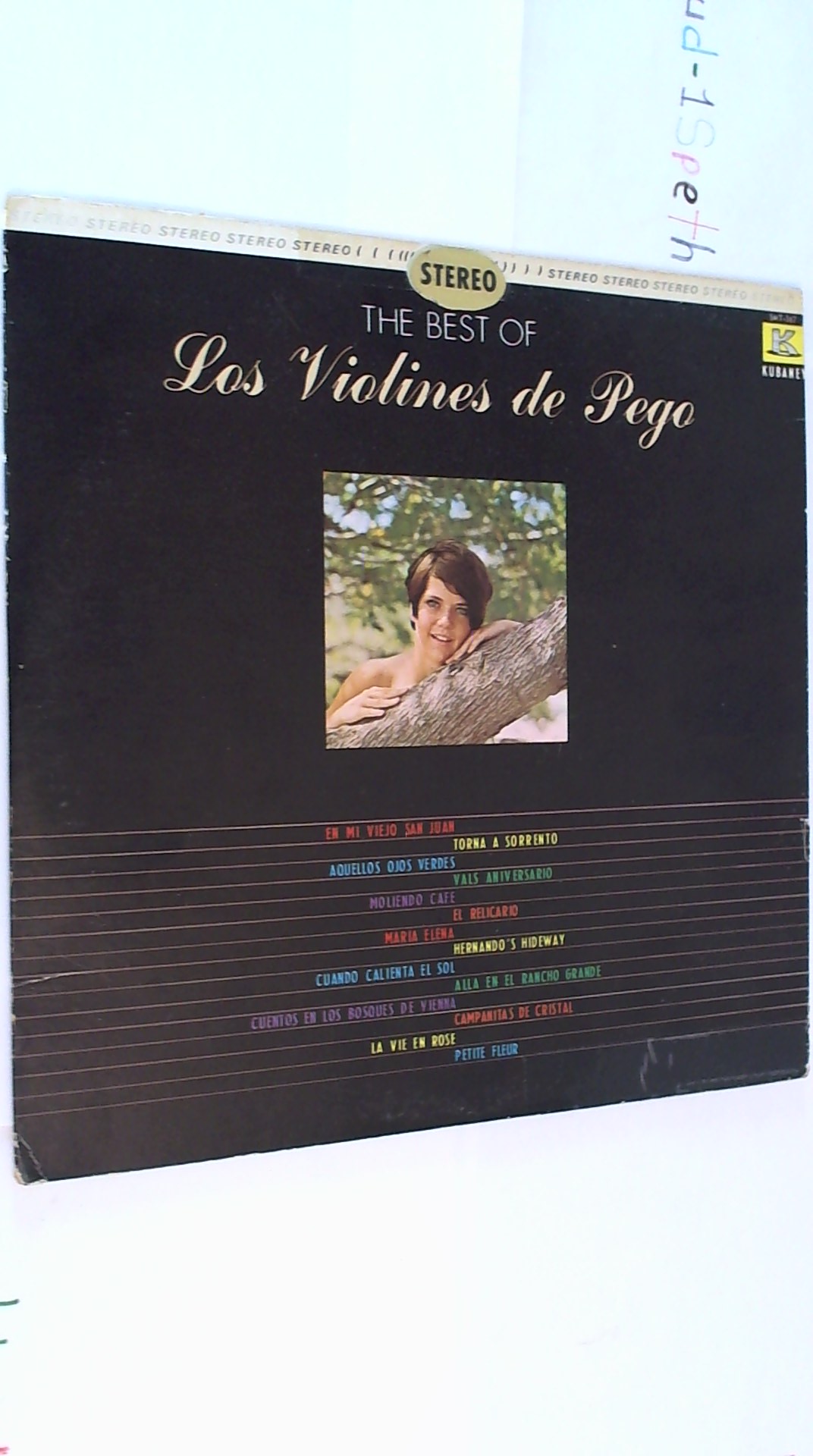 WIN_20240811_13_34_56_Pro