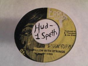 Hud-2 vinyl photos 456